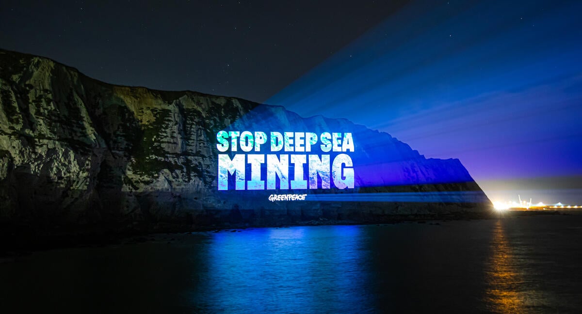 Deep sea mining industry fails to get green light but remains a threat