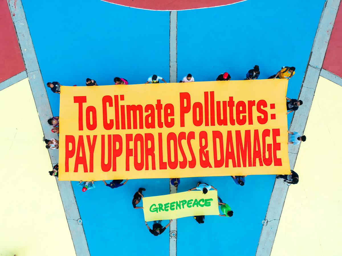 Greenpeace responds to the Summit for a New Global Financing Pact
