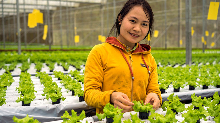 Un nouveau partenariat pour promouvoir le travail décent dans les filières alimentaires