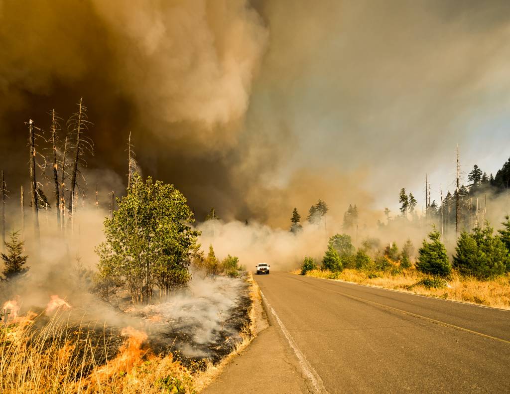 Another summer of broken heat records. But we know what we need to do.