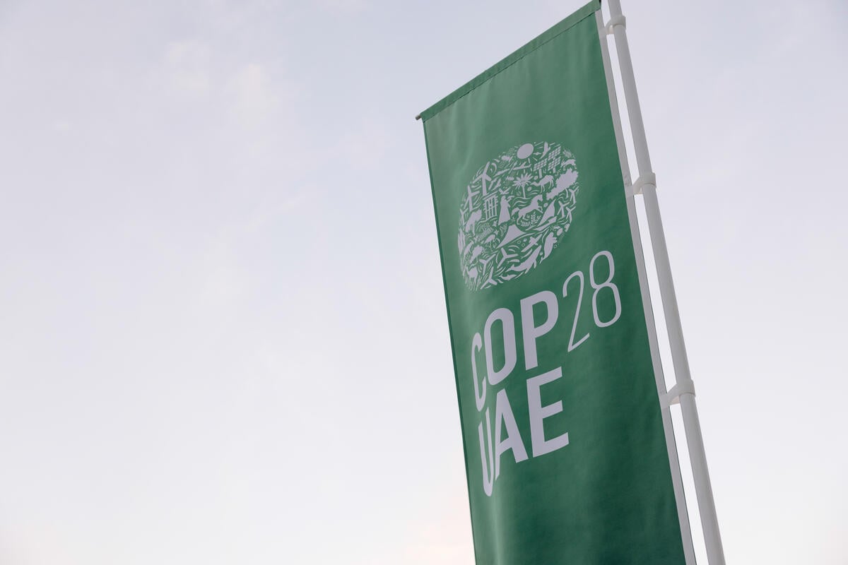 Greenpeace Response to OPEC Letter at COP28