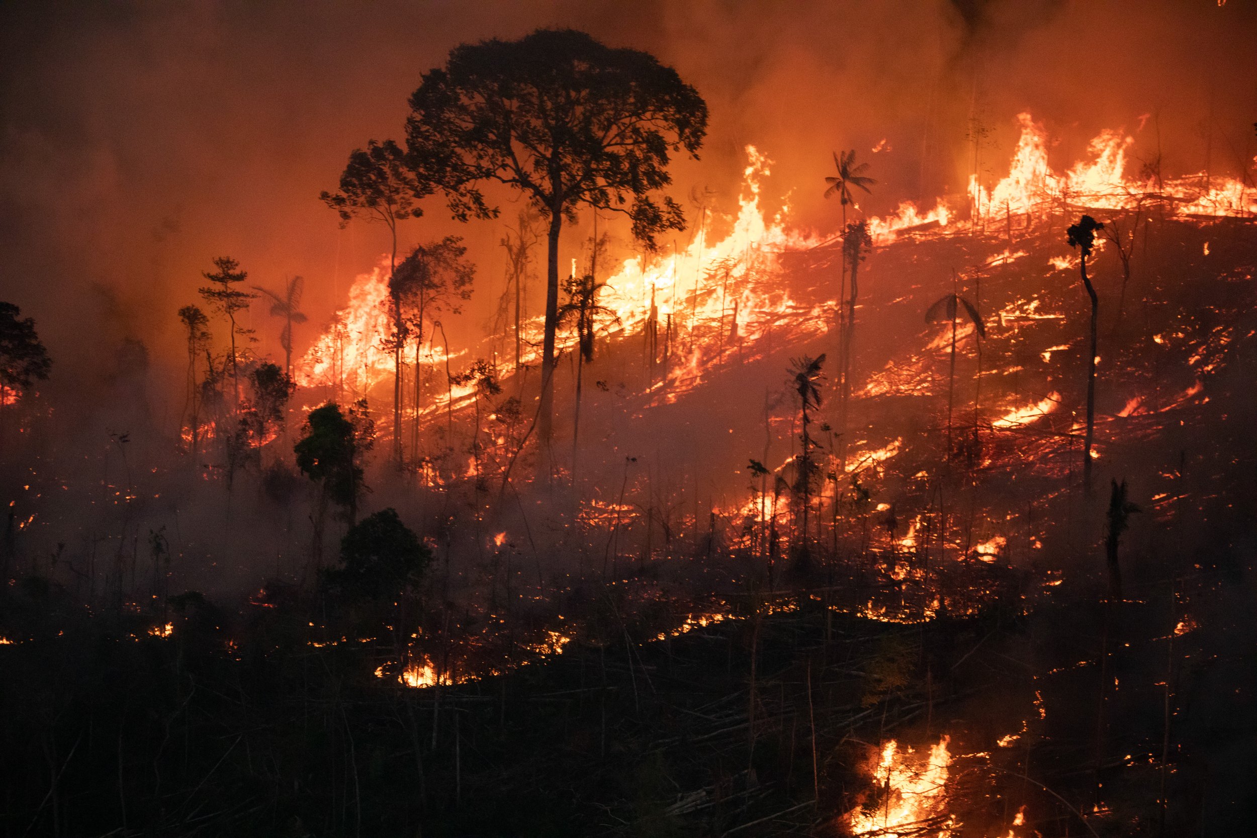 Global heating exceeds 1.5°C threshold for 12 months – Greenpeace reaction