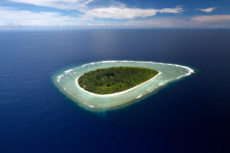 Palau becomes first nation to officially ratify historic UN Ocean Treaty