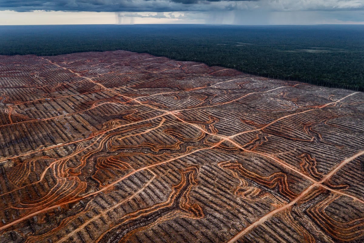 EU banks have poured €256 billion into sectors that threaten nature and climate
