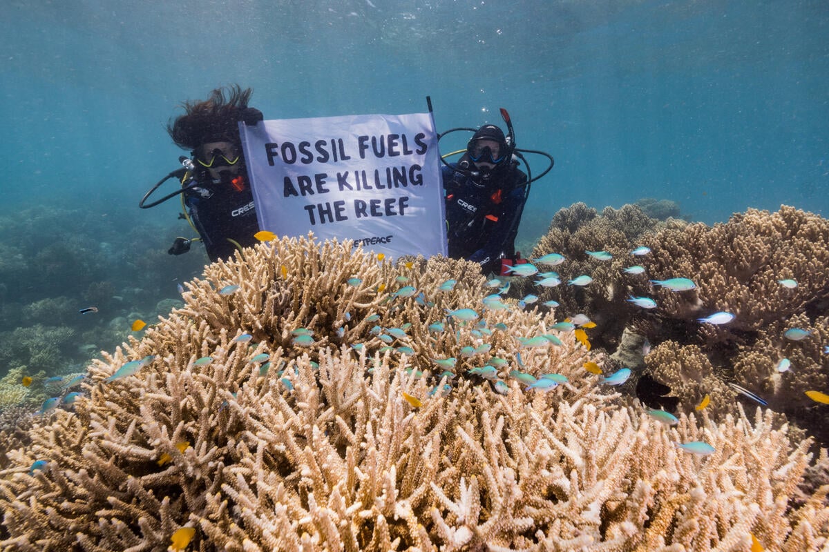 Seventh Great Barrier Reef mass bleaching a desperate warning to end fossil fuels