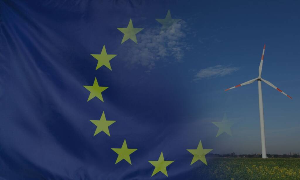 How to vote in the EU elections