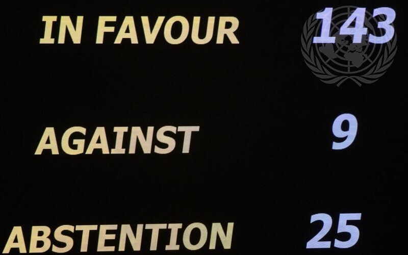 L'Assemblée générale pour l'adhésion pleine et entière de la Palestine à l'Onu