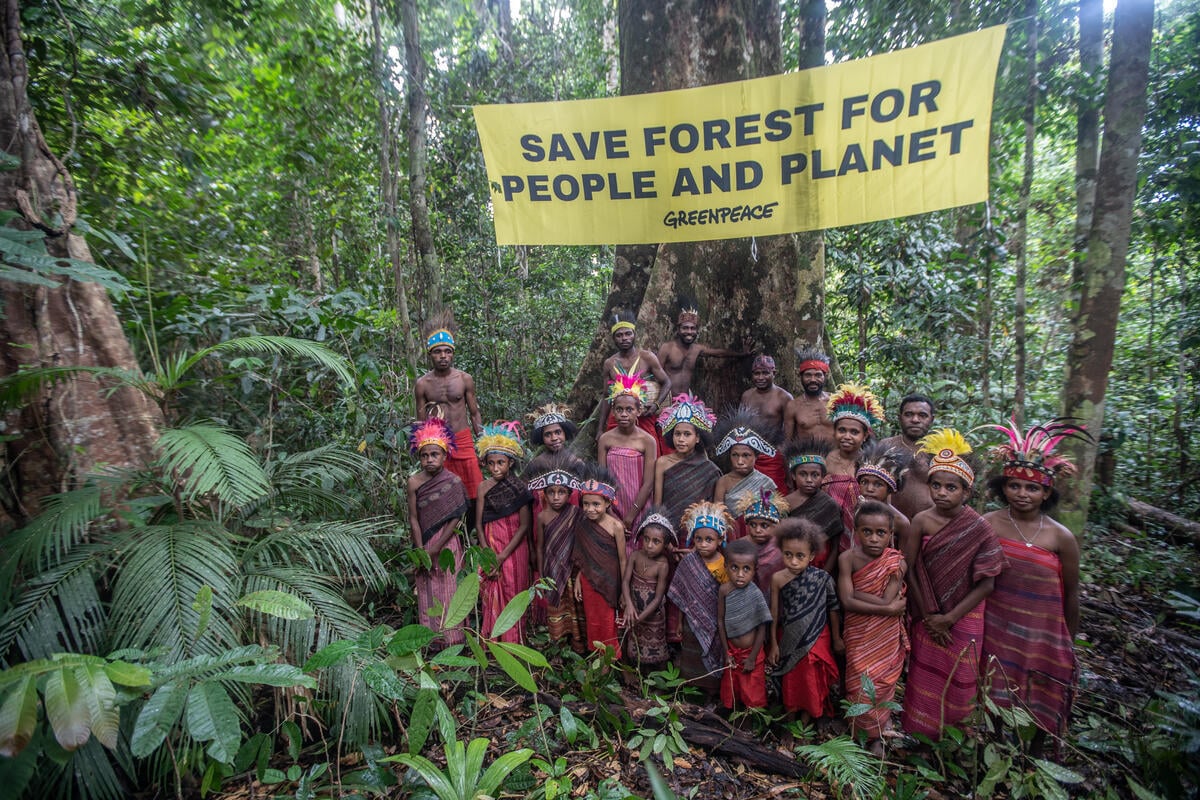 Major land rights win for Indigenous Peoples over forest area the size of Hong Kong in Southwest Papua