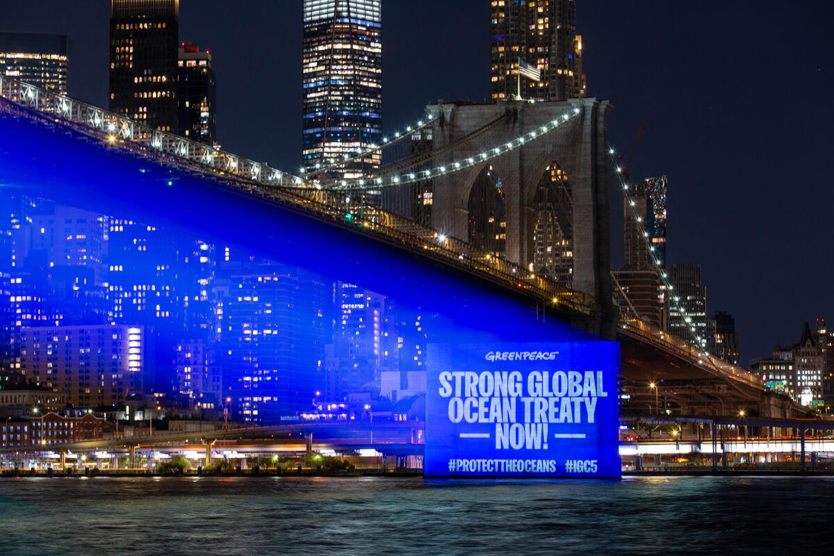 First ever UN ‘Ocean COP’ on course for 2026 as governments double down on commitments