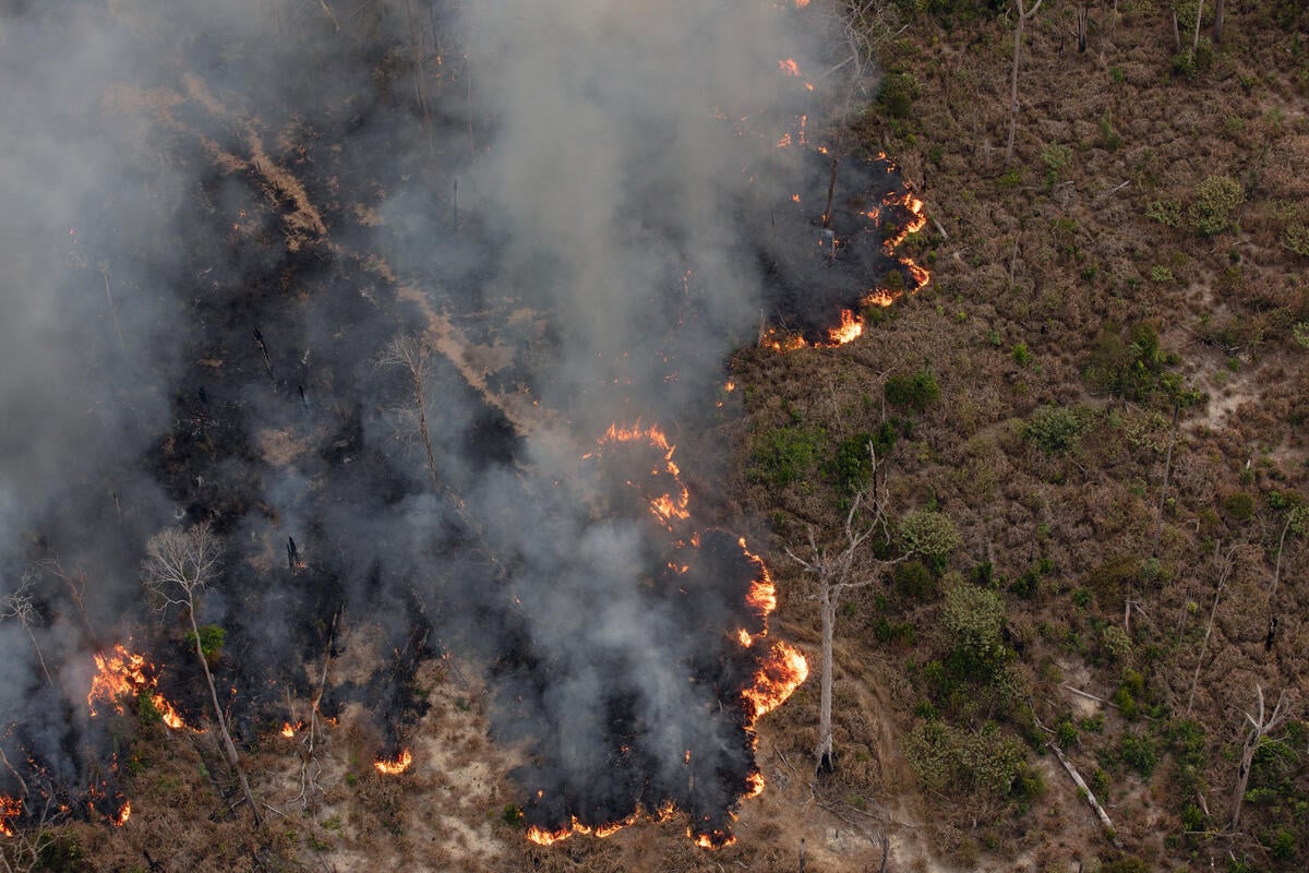 Greenpeace Brazil flyover documents Amazon deforestation and fires hotspot increases
