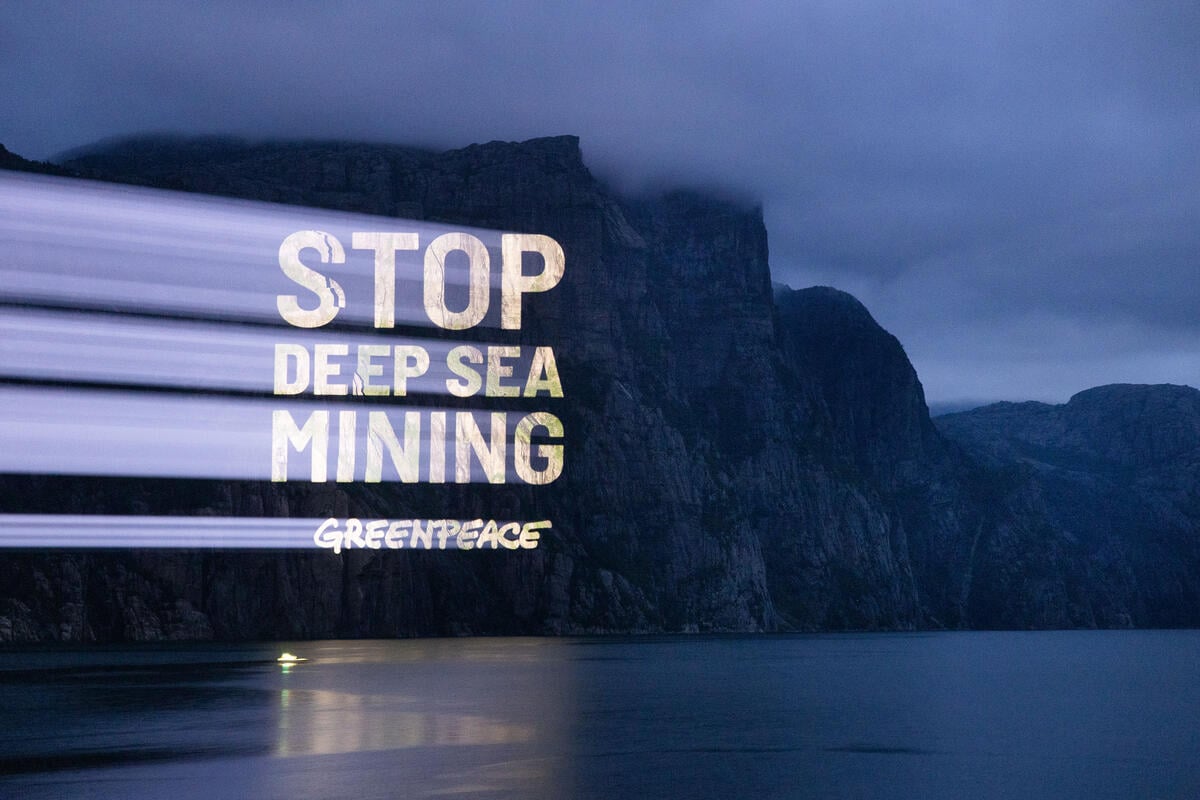 Greenpeace launches Arctic expedition to study vulnerable marine mammals in targeted deep sea mining area 