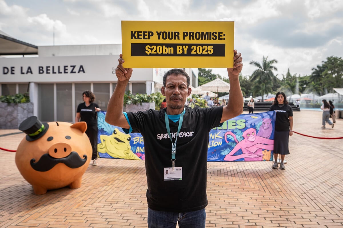 Crack open the piggy bank! Greenpeace delivers piggy bank at COP16, calling on countries to keep nature protection payment promises 