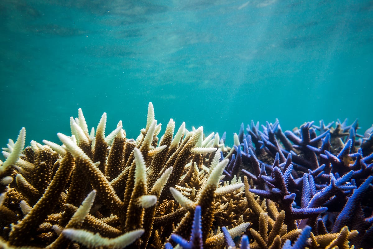 Hotter Water: oceans cannot keep pace with changes caused by climate crisis, warns new report