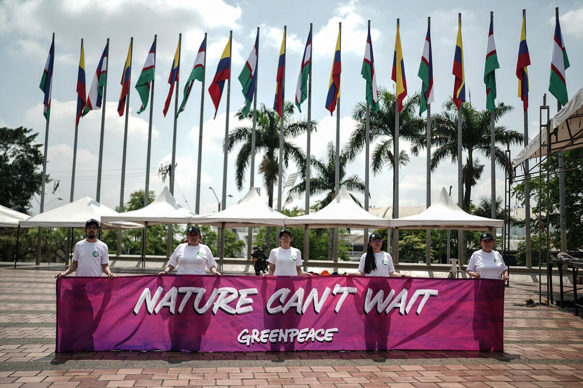 UN biodiversity COP16 delivers new protections but fumbles nature finance, sends call for action to COP29