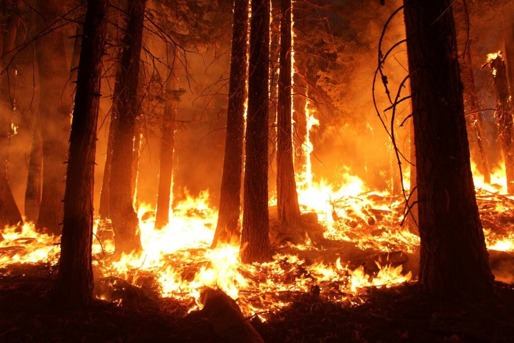 Ferocious Optimism: Holding on to Hope in an Apocalyptic World