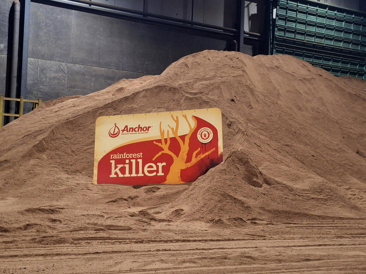 Greenpeace stops offloading of deforestation-linked animal feed destined for New Zealand dairy industry