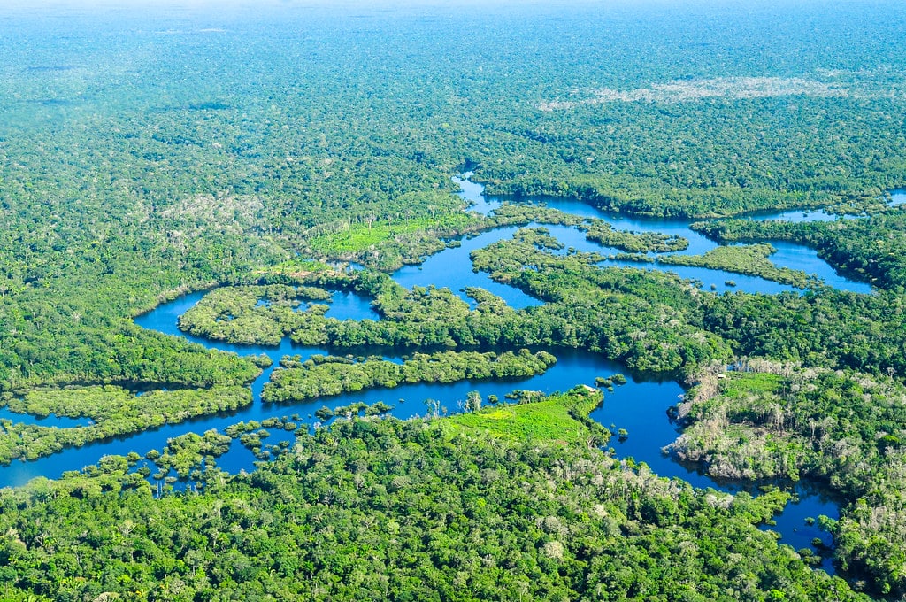 What is Really Happening in the Amazon Forest?